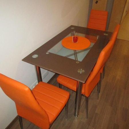 Apartman Ricky V Orlickych Horach Pustiny Екстер'єр фото