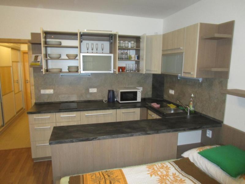 Apartman Ricky V Orlickych Horach Pustiny Екстер'єр фото