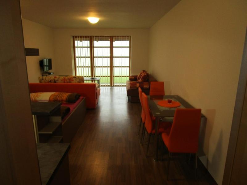 Apartman Ricky V Orlickych Horach Pustiny Екстер'єр фото