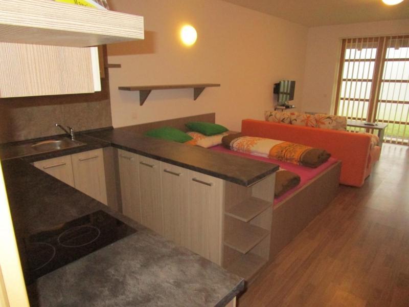 Apartman Ricky V Orlickych Horach Pustiny Екстер'єр фото