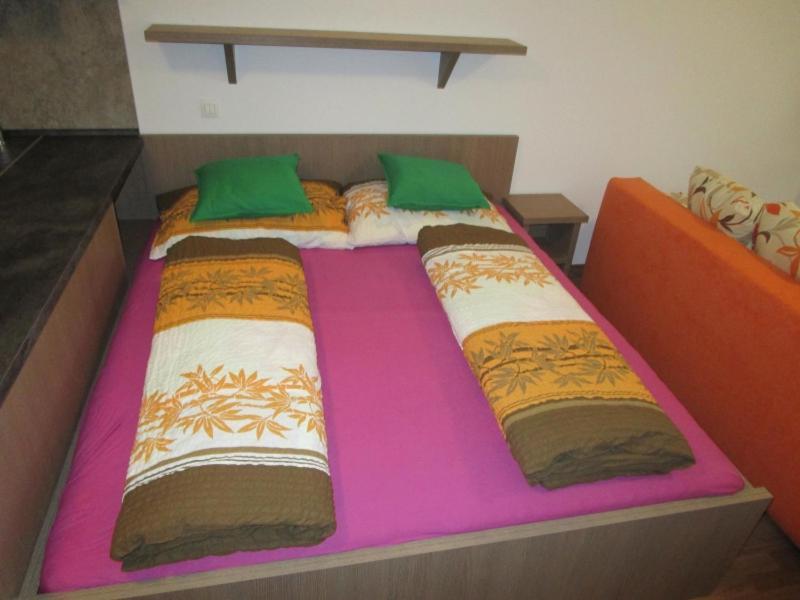Apartman Ricky V Orlickych Horach Pustiny Екстер'єр фото