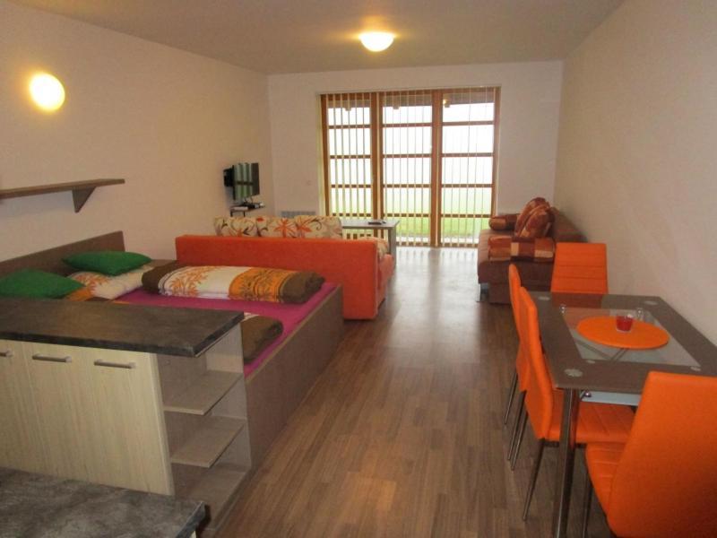 Apartman Ricky V Orlickych Horach Pustiny Екстер'єр фото
