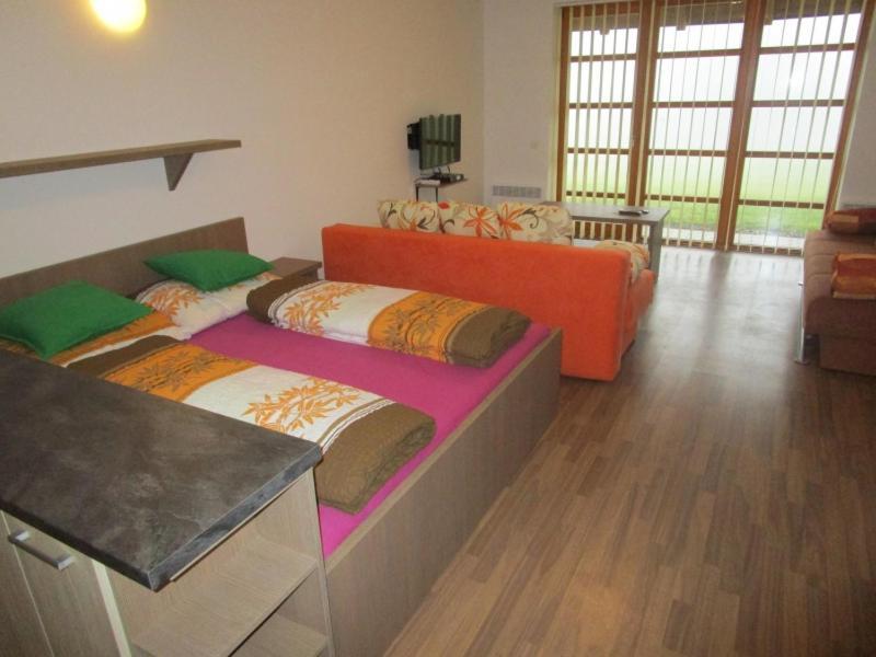 Apartman Ricky V Orlickych Horach Pustiny Екстер'єр фото